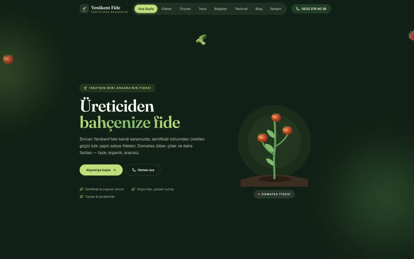Yenikent Fide — Agriculture & Production